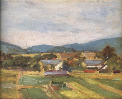 Egon Schiele Landscape in Lower Austria (mk12) oil painting picture
